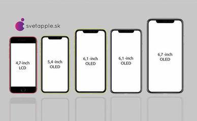 苹果11pro参数尺寸,苹果11pro参数尺寸大小