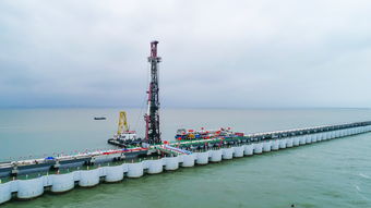 中石化炼化工程12月12日斥资118.44万港元回购30.25万股